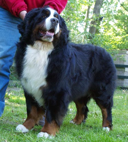 Father Indra Bernese